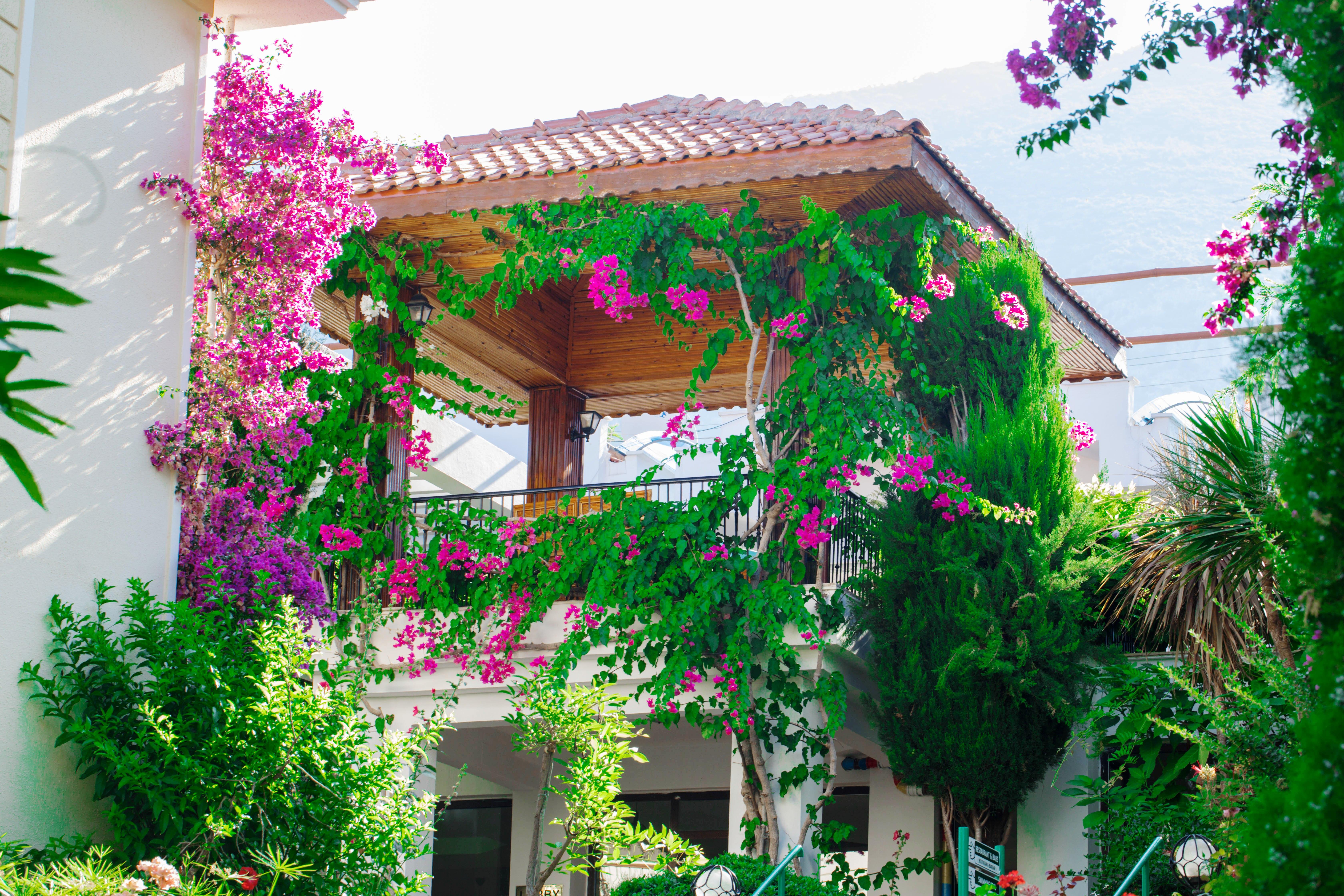 Yel Holiday Resort Oludeniz Bagian luar foto